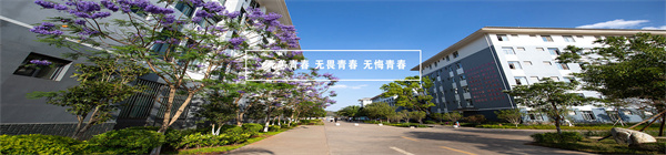 1-220F322352N29.jpg