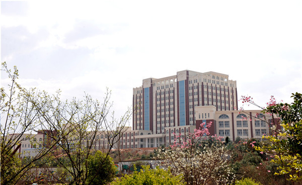 云南外事外语职业学院2021年五年一贯制大专/三年制普通中专招生简章(图5)