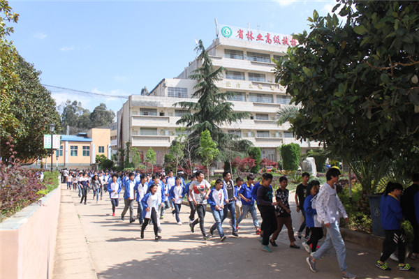 云南省林业高级技工学校2021年招生简章(图10)