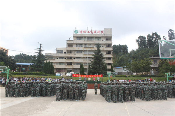 云南省林业高级技工学校2021年招生简章(图3)